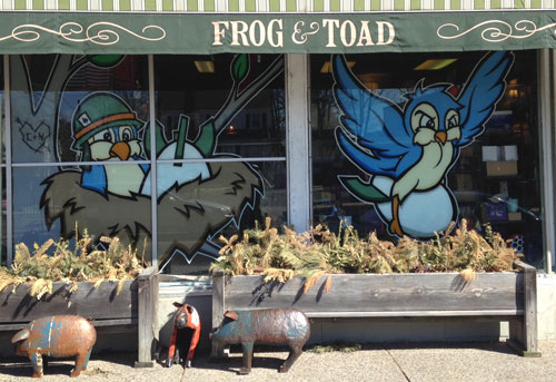 evoker frog and toad windows providence ri